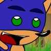 SonicinCrossingtheRiver