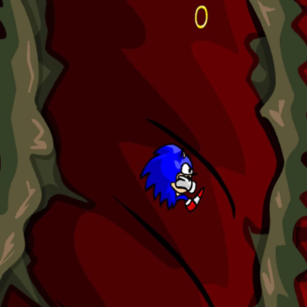 Heinous Anus Zone