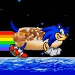 Nyan Sonic 2