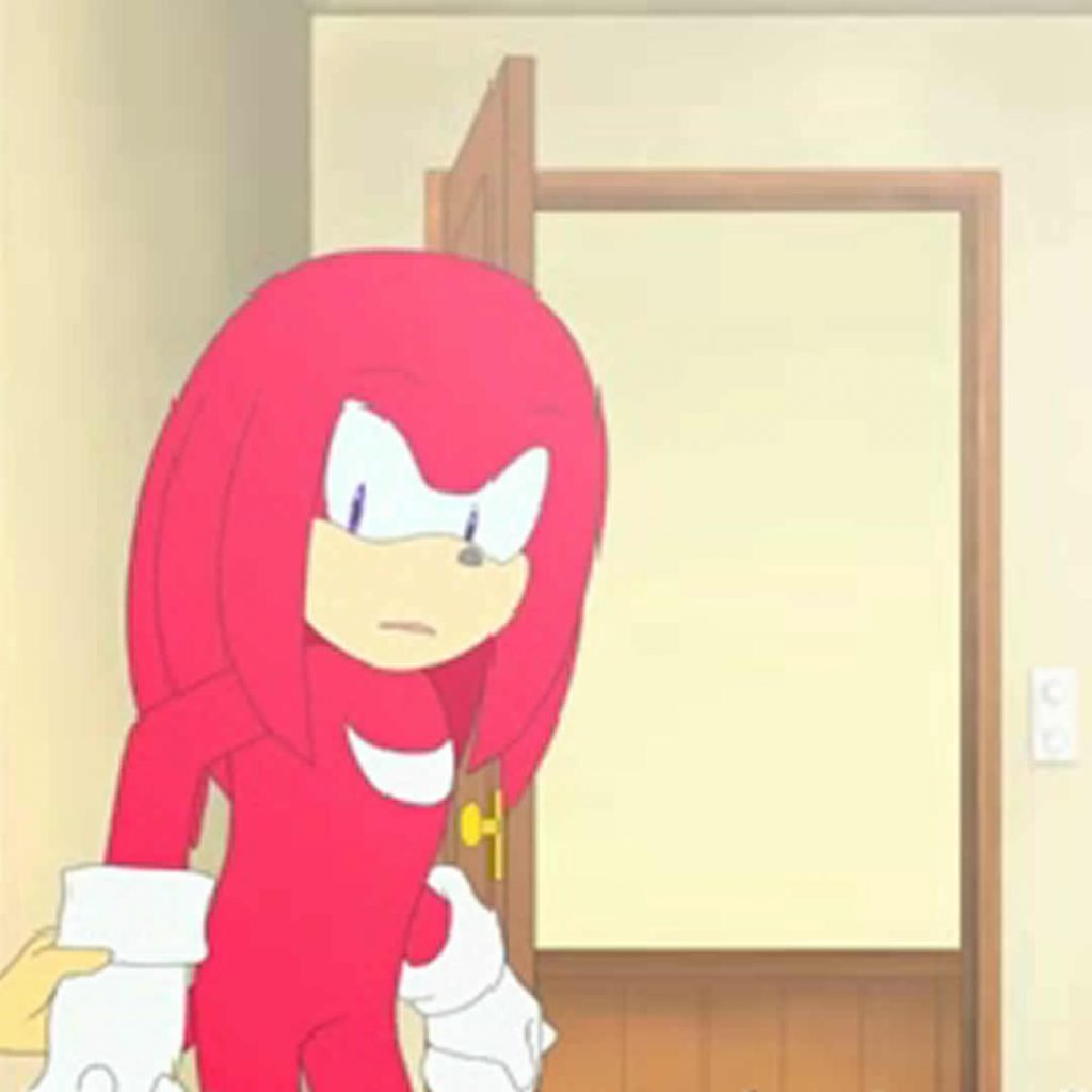 ToradoraSonicversion